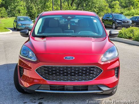 Used 2022 Ford Escape SE w/ Convenience Package FWD image 4