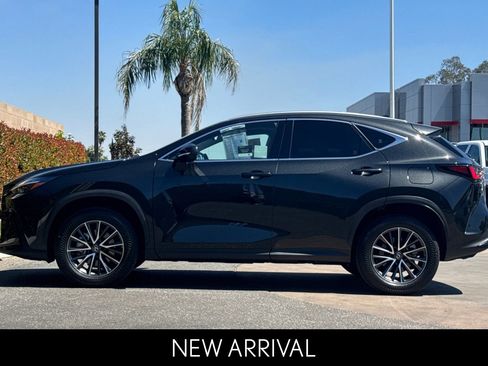Certified 2025 Lexus NX 350h AWD w/ Cold Area Package image 7