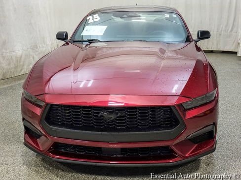 Used 2025 Ford Mustang Premium w/ Mustang Nite Pony Package RWD image 7