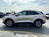 Used 2020 Ford Escape SEL image 5