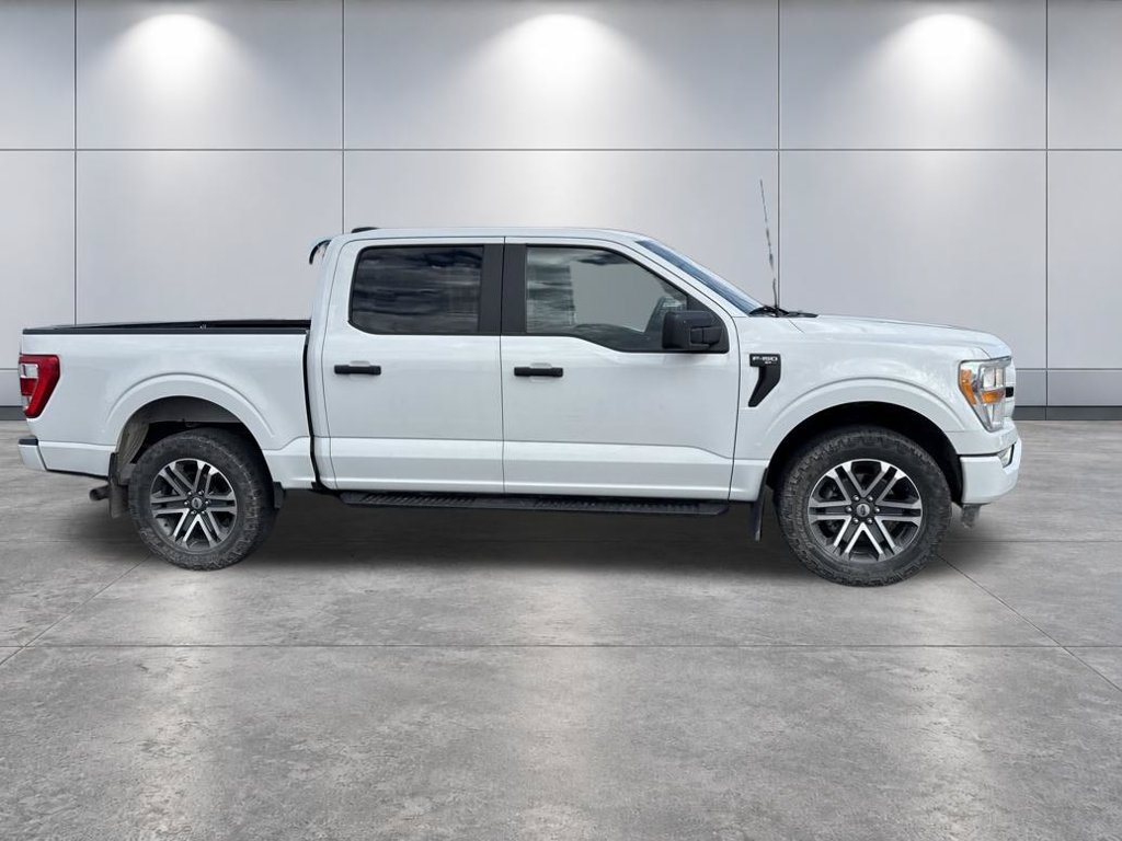 Used 2021 Ford F150 XL w/ STX Appearance Package AWD/4WD image 4
