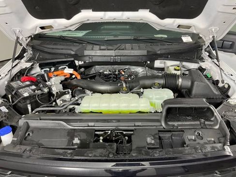 New 2025 Ford F150 XLT w/ Equipment Group 302A MID image 9