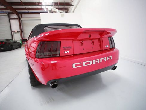 Used 2004 Ford Mustang Cobra RWD image 6