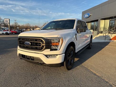 Used 2021 Ford F150 XLT w/ Equipment Group 302A High image 2