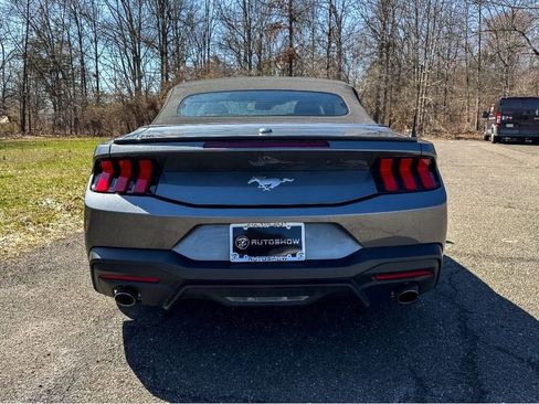 Used 2024 Ford Mustang Premium image 6