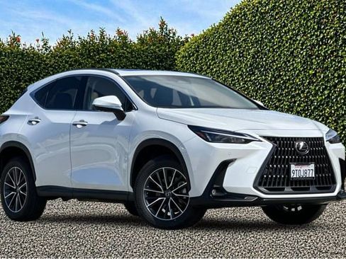 Used 2025 Lexus NX 350h AWD w/ Cold Area Package image 2