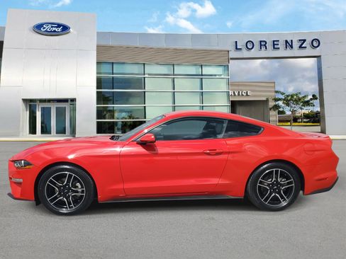 Used 2019 Ford Mustang Coupe w/ Equipment Group 101A image 8