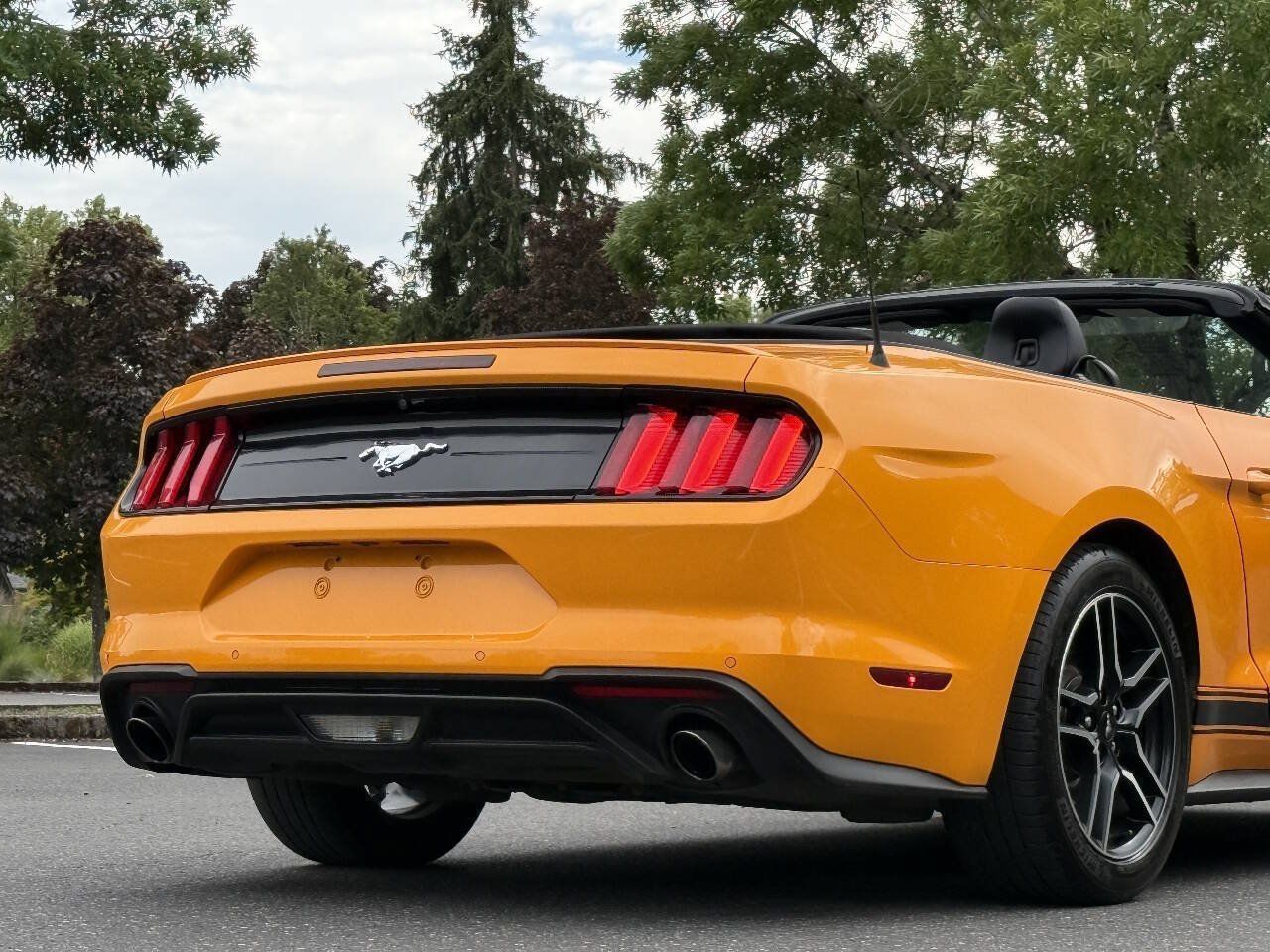 Used 2018 Ford Mustang Premium w/ Equipment Group 201A RWD image 5