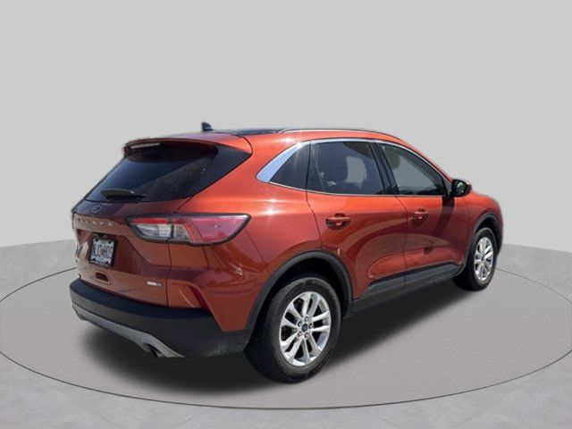 Used 2020 Ford Escape SE AWD/4WD image 3