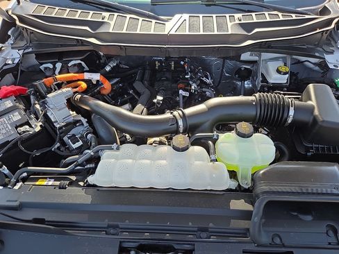 Used 2025 Ford F150 XLT w/ Equipment Group 301A Standard AWD/4WD image 10