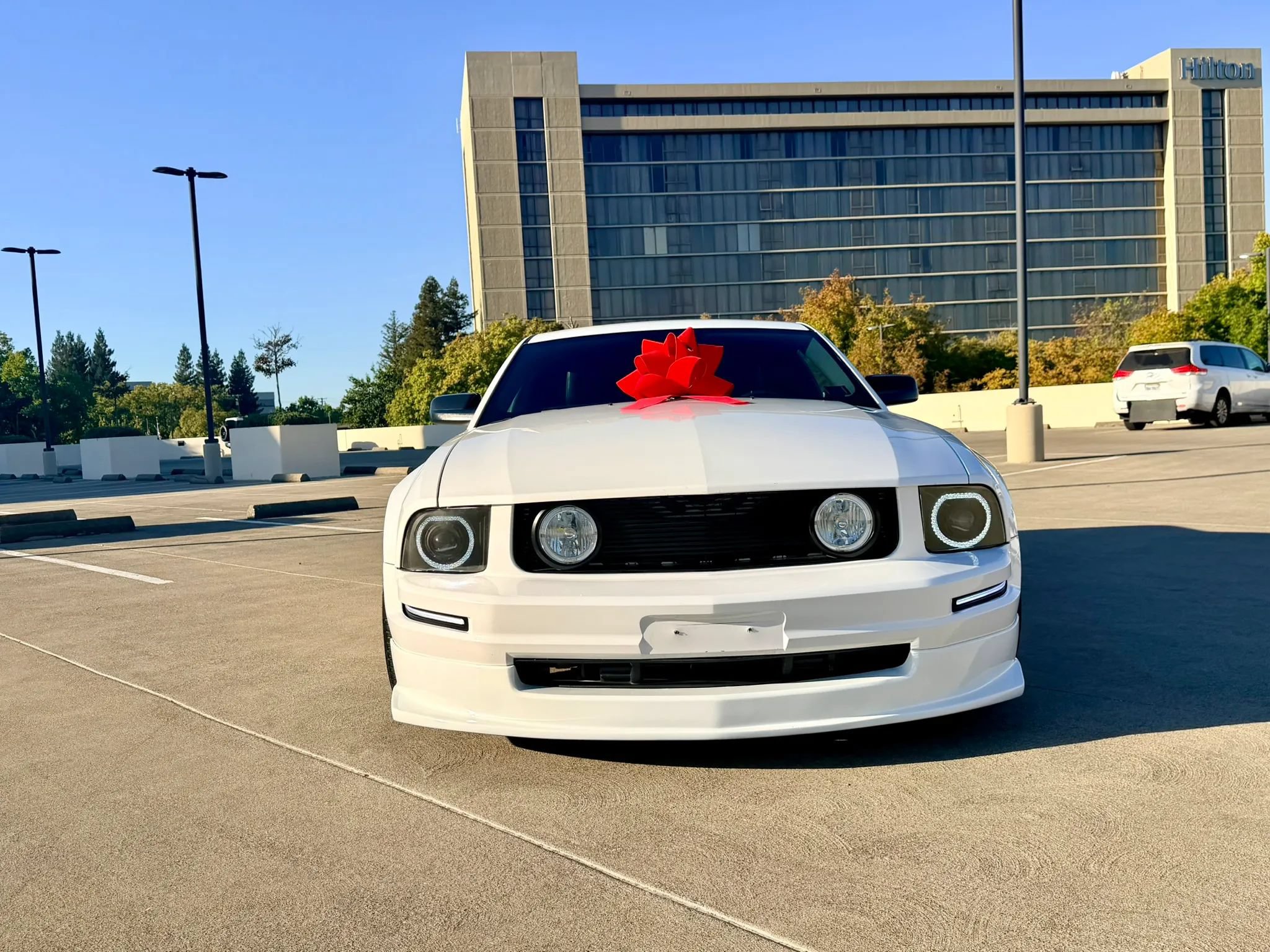 Used 2007 Ford Mustang Premium RWD image 5
