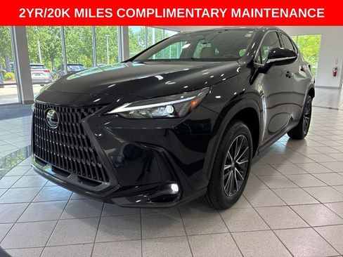 Used 2025 Lexus NX 250 FWD w/ Accessory Package (Z2) image 3