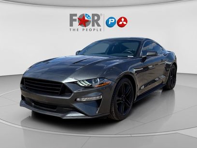 Used 2019 Ford Mustang Premium w/ Equipment Group 201A