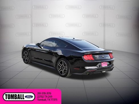 Used 2019 Ford Mustang Premium RWD image 5