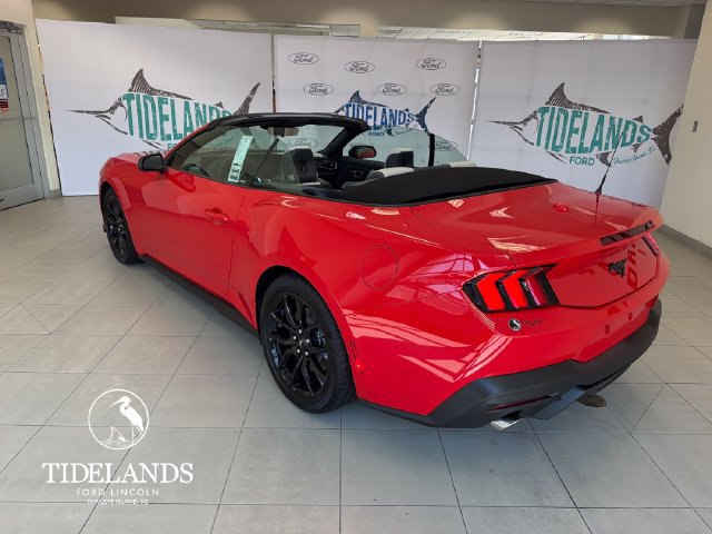 New 2026 Ford Mustang Premium w/ Mustang Nite Pony Package RWD image 6