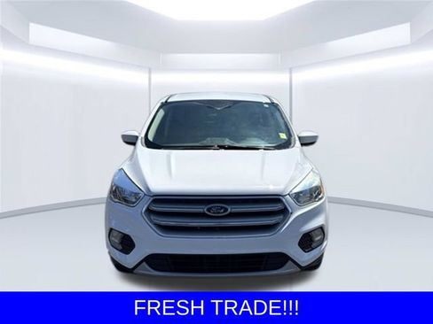 Used 2019 Ford Escape SE AWD/4WD image 2