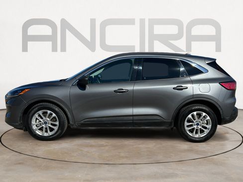 Used 2022 Ford Escape SE w/ Convenience Package image 7