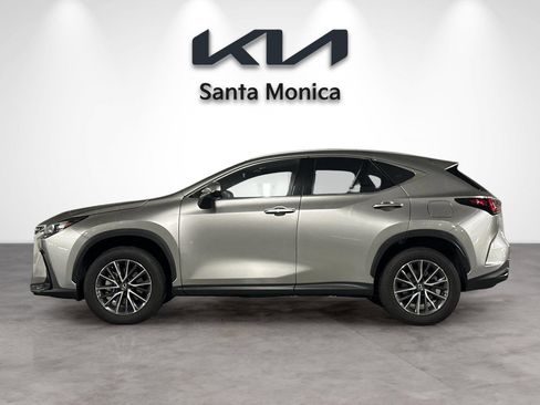 Used 2024 Lexus NX 350 AWD w/ Cold Area Package image 3