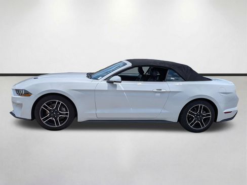 Used 2020 Ford Mustang Premium RWD image 7