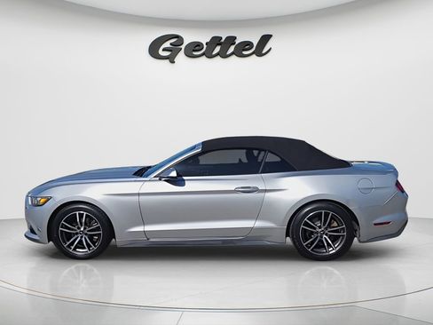 Used 2017 Ford Mustang Premium image 2