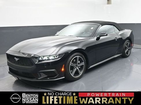 Used 2024 Ford Mustang Premium RWD image 1