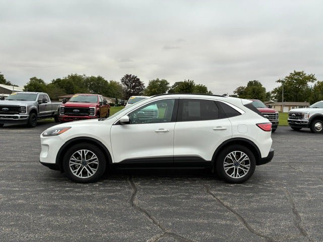 Used 2020 Ford Escape SEL FWD image 2