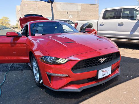 Used 2019 Ford Mustang Coupe RWD image 3