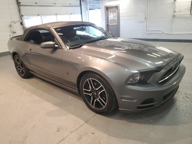 Used 2014 Ford Mustang Premium w/ Equipment Group 201A RWD image 12