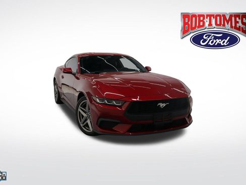 Used 2024 Ford Mustang Premium image 1