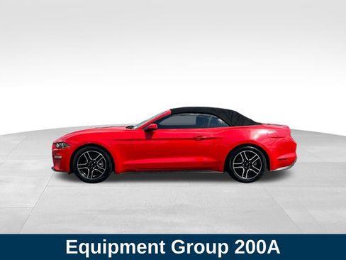Used 2019 Ford Mustang Premium RWD image 2