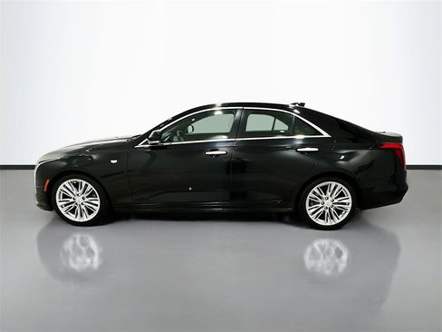 Used 2023 Cadillac CT4 Premium Luxury w/ Climate Package image 4