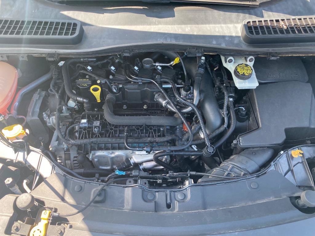 Used 2019 Ford Escape SE FWD image 24
