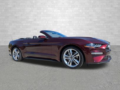 Used 2018 Ford Mustang Premium w/ Equipment Group 201A