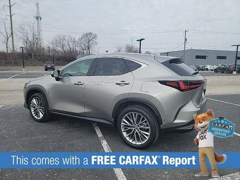 Used 2025 Lexus NX 350h AWD w/ Accessory Package (2T) image 3