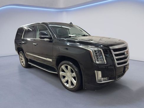 Used 2019 Cadillac Escalade Luxury image 1