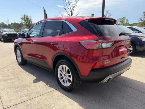 Used 2020 Ford Escape SE AWD/4WD image 6