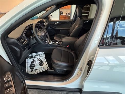New 2025 Ford Escape ST-Line w/ Tech Pack #1 image 2
