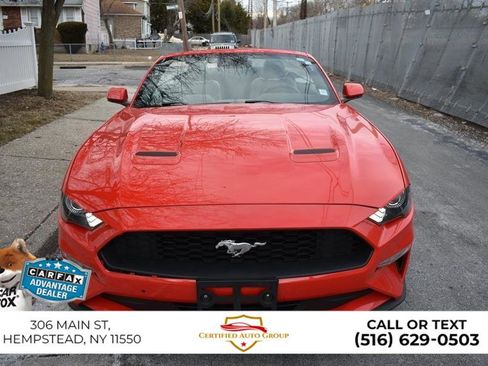 Used 2024 Ford Mustang Convertible RWD image 2