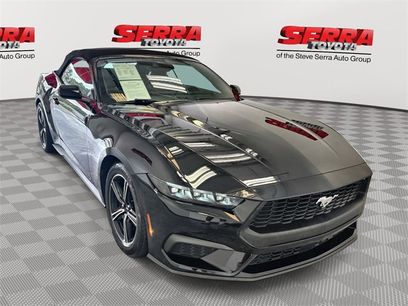 Used 2025 Ford Mustang Premium