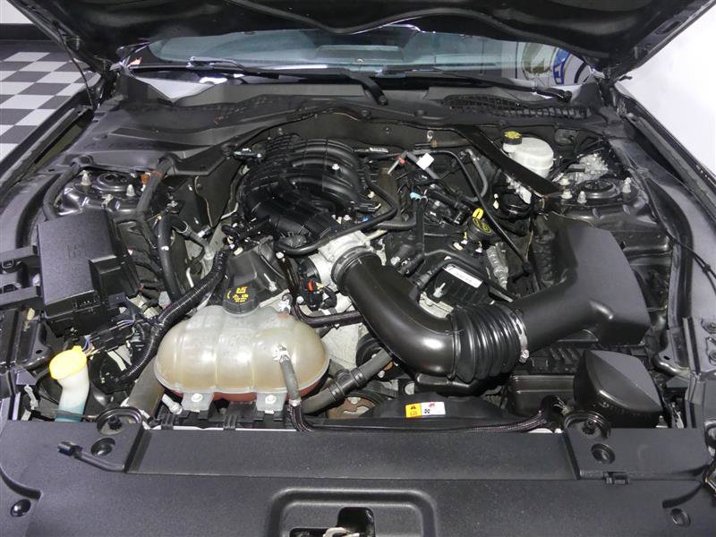 Used 2017 Ford Mustang Convertible w/ Equipment Group 051A RWD image 12