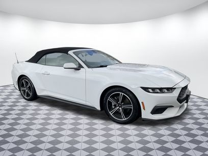 Used 2024 Ford Mustang Premium