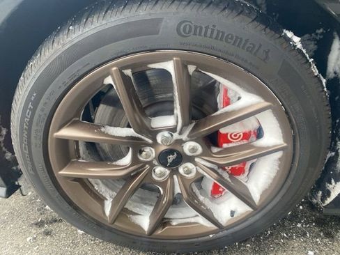 Used 2024 Ford Mustang GT Premium image 6