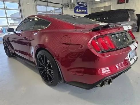 Used 2017 Ford Mustang Shelby GT350 RWD image 5