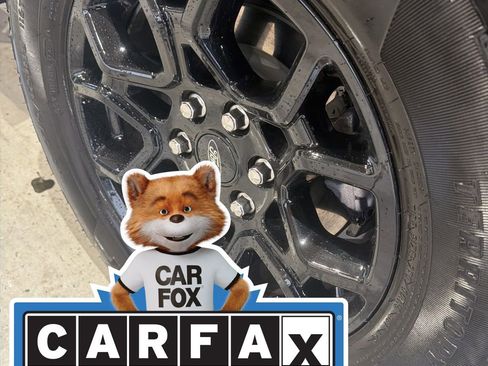 Used 2025 Ford F150 STX image 8