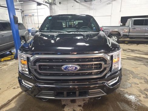 Used 2023 Ford F150 XLT w/ Equipment Group 302A High image 2