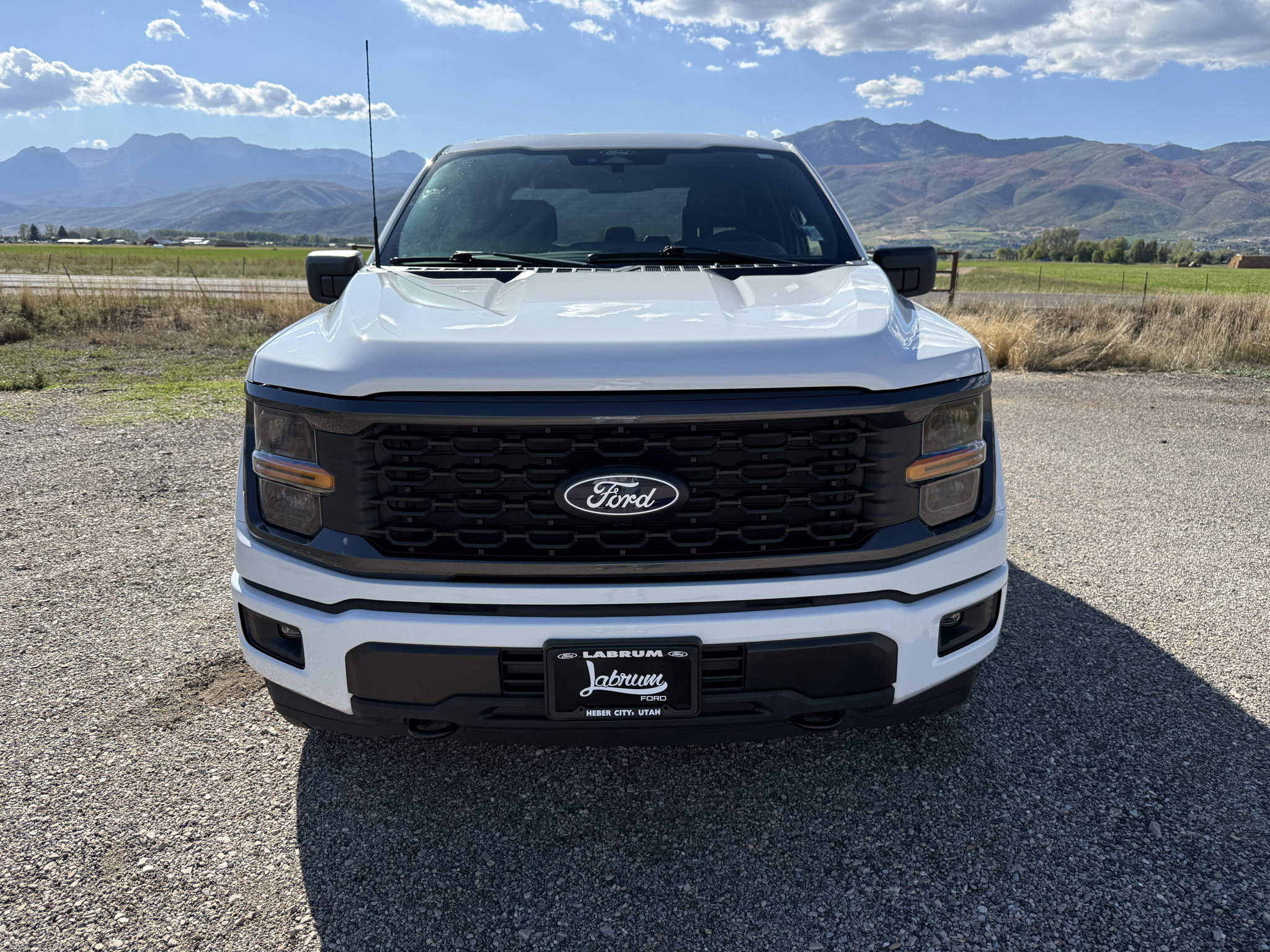 Used 2024 Ford F150 STX AWD/4WD image 2