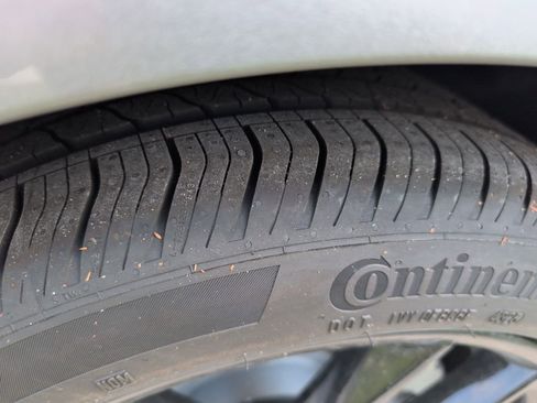 New 2026 Ford Mustang EcoBoost Nite Pony w/ Mustang Nite Pony Package image 19