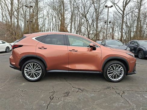 Used 2025 Lexus NX 350 AWD w/ Premium Package image 7