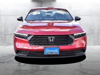 New 2025 Honda Accord Sport