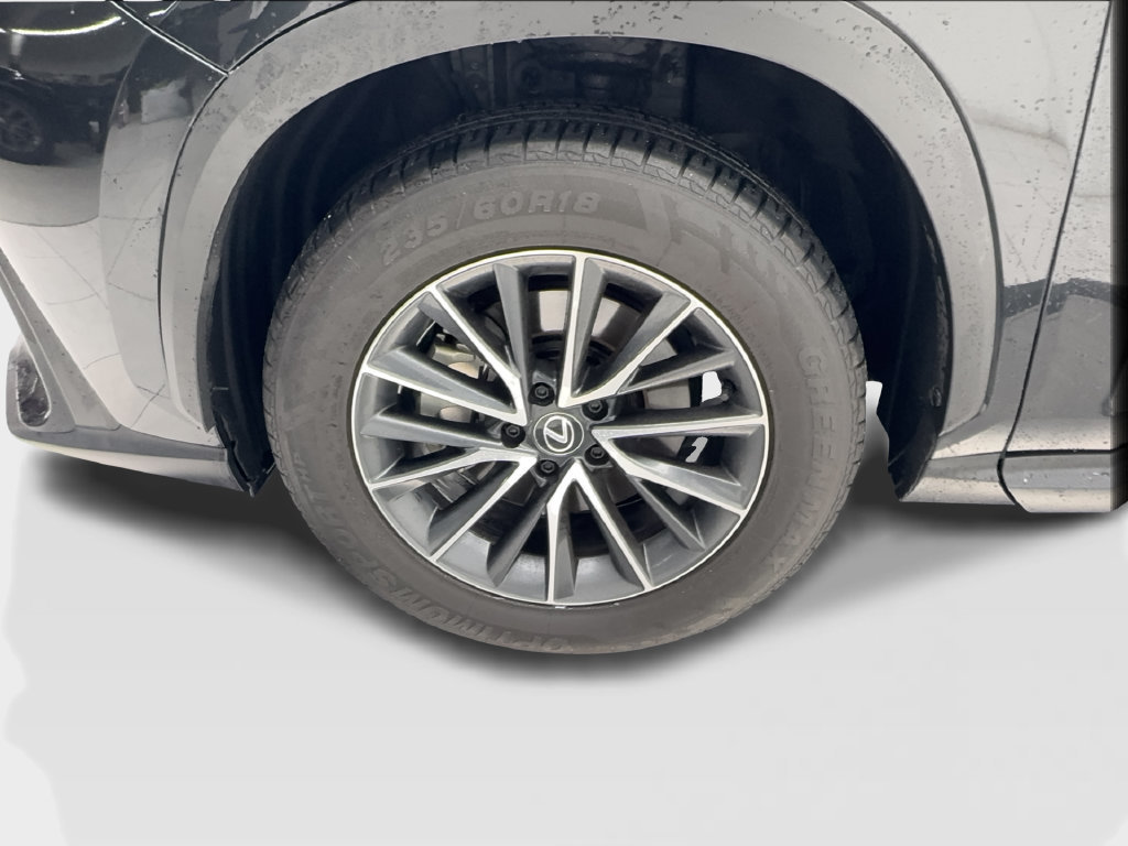 Used 2025 Lexus NX 250 FWD w/ Cold Area Package image 14